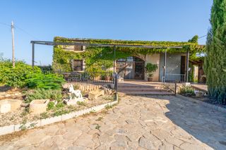 Casale  Camí del bordà 13. Vive tu sueño en el delta del ebro, l'aldea