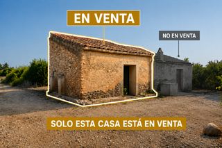 Finca rústica a Carrer mestral 17. Finca de naranjos manejable