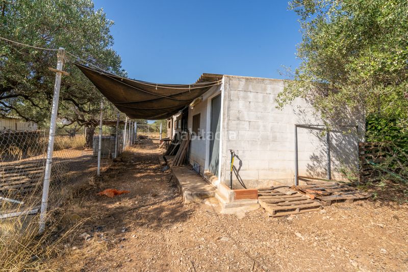 Foto ab559514-3bbc-4357-914b-3711925465e1. Finca rústica a camí de codonyol 181 a Alcanar