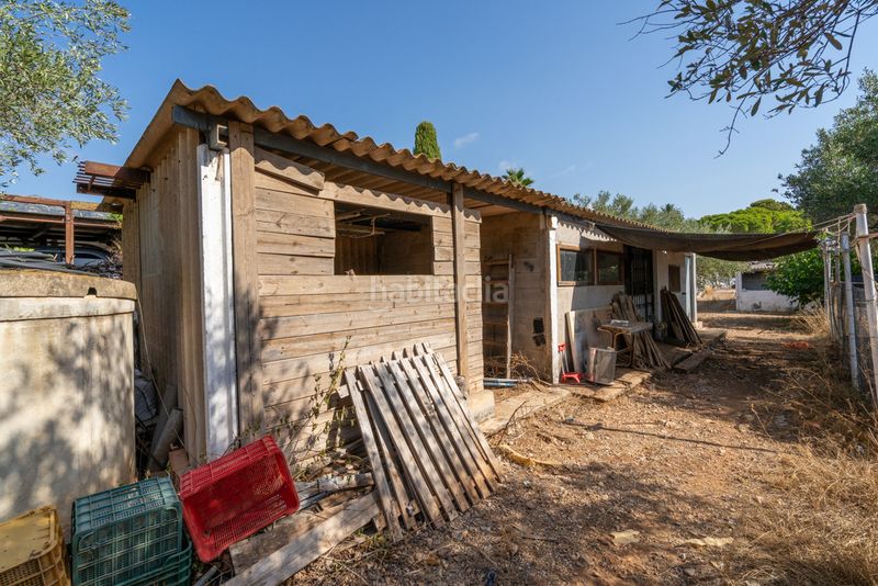 Foto b48b90d0-4e1a-4033-9b4a-51d29473166c. Finca rústica a camí de codonyol 181 a Alcanar