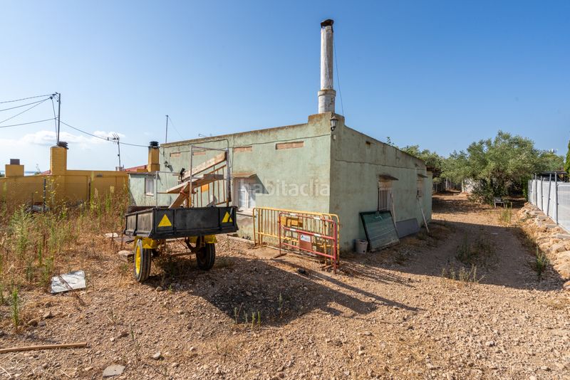 Foto cf10b89e-c938-4bdd-9b57-f429efb376fd. Finca rústica a camí de codonyol 181 a Alcanar