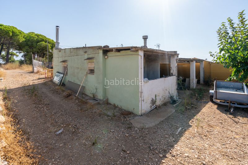 Foto ede14ea9-e102-4653-aee8-a83554e219ff. Finca rústica a camí de codonyol 181 a Alcanar