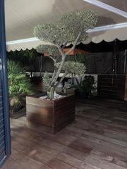 Planta baixa a Carrer estoril 35