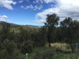 Finca rústica  Del suro. Terreno urbanizable en nueva urbanización  pueblo cerca de la jo