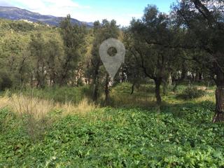 Finca rústica  Del suro. Terreno urbanizable en nueva urbanización  cerca de la jonquera