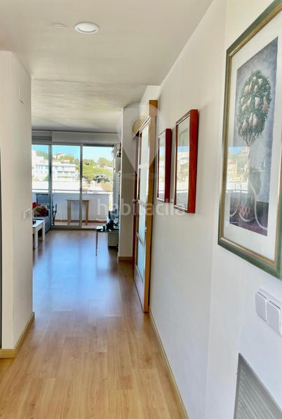 Foto 5d01f99f-705d-4706-8f2d-1508b3023ae1. Àtic amb calefacció aparcament a Grifeu - Cap Ras - Els Estanys - Sant Genís Llançà