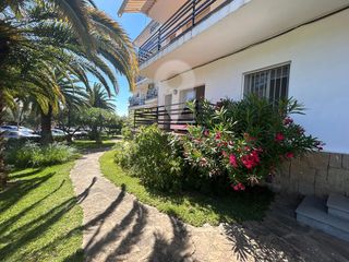 Appartamento  Amsterdam. Encantador apartamento con vistas a la montaña en mas oliva