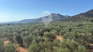 Pis  Londres. Encantador apartamento con vistas a la montaña, parking y piscin