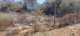 Rural plot in Ma-6014 km 24. Grandioso solar rustico en termini de llucmajor ref 1724