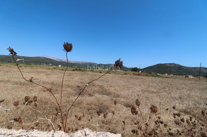 Foto 01e52a11-555b-4be0-88f4-fdbd31aabe5b. Finca rústica a carrer torrent 36 a Sa Pobla