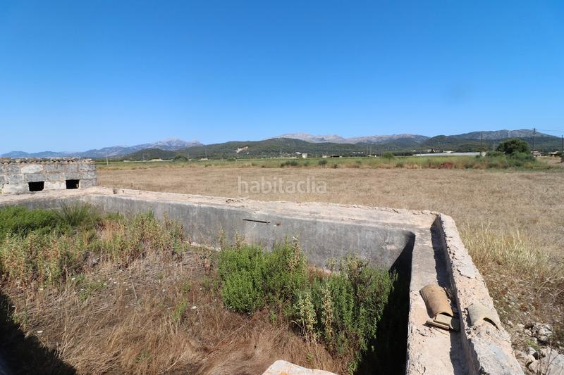 Foto 03776930-30a7-4ce9-b975-9b5d6bf819c7. Finca rústica a carrer torrent 36 a Sa Pobla