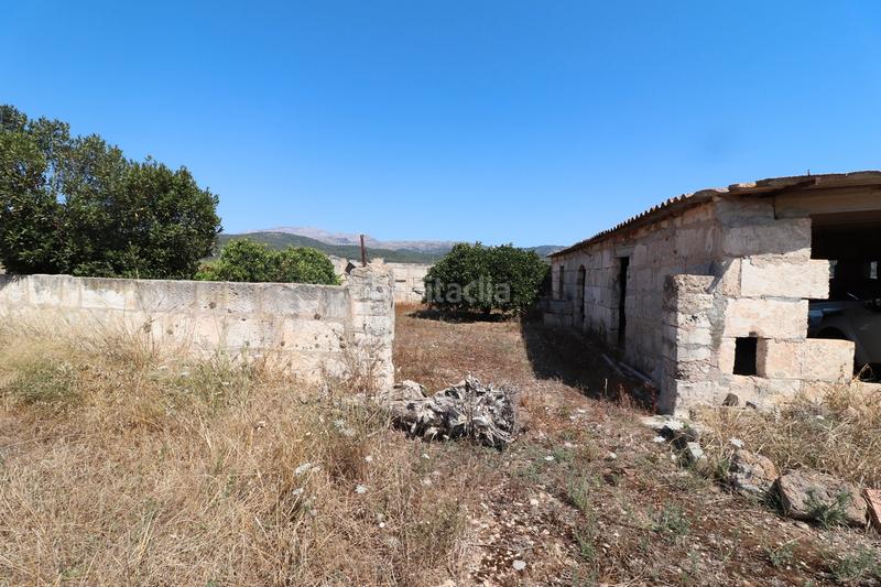 Foto 0455b71d-9f34-458a-b63b-d8d6b3ec5ab4. Finca rústica a carrer torrent 36 a Sa Pobla
