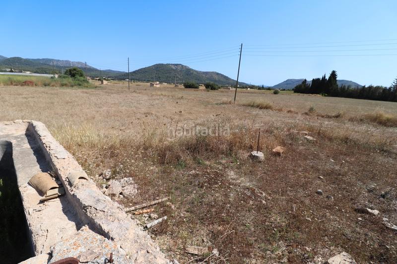 Foto 0567dfd5-9d9b-4983-b59e-551285551b49. Finca rústica a carrer torrent 36 a Sa Pobla