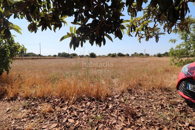 Foto 1e7d99ca-cd35-48c5-b1e8-7f6715211506. Finca rústica a carrer torrent 36 a Sa Pobla