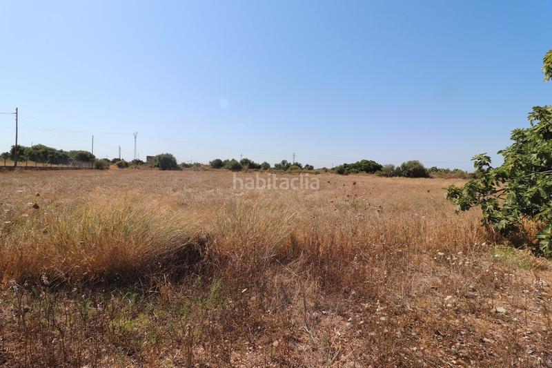 Foto 3a2da83a-cdca-4129-8022-570b62188ca1. Finca rústica a carrer torrent 36 a Sa Pobla