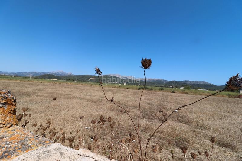 Foto 4699265e-5004-46b4-98e6-098f3e073c34. Finca rústica a carrer torrent 36 a Sa Pobla