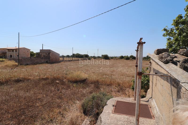 Foto 4cf53f9e-6db3-4326-9087-479d3e4fdf50. Finca rústica a carrer torrent 36 a Sa Pobla