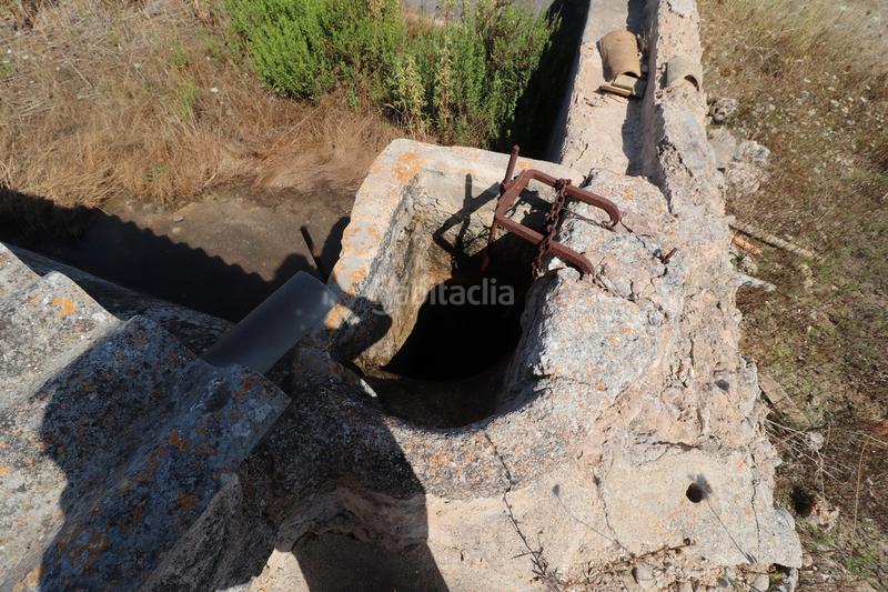 Foto 538e6d02-addc-4054-868e-c45e97d5f48d. Finca rústica a carrer torrent 36 a Sa Pobla