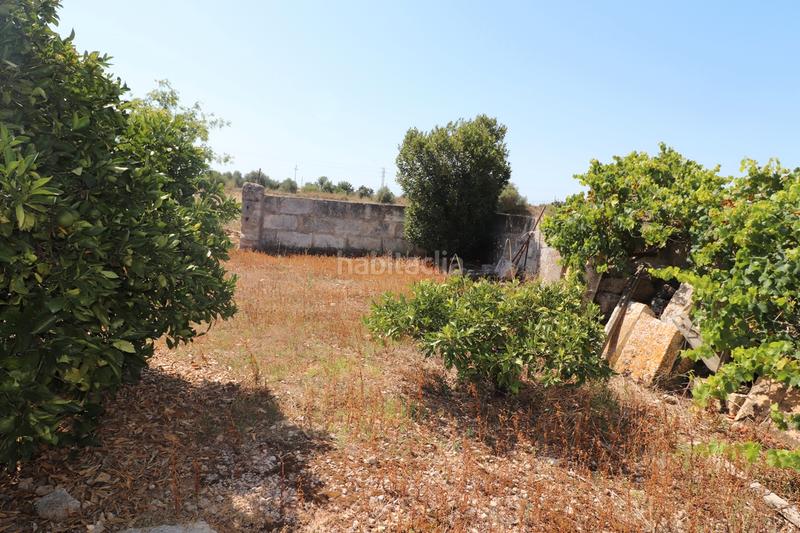 Foto 9fbfec3c-7fd0-40c0-b2e7-635f6d8f8b53. Finca rústica a carrer torrent 36 a Sa Pobla