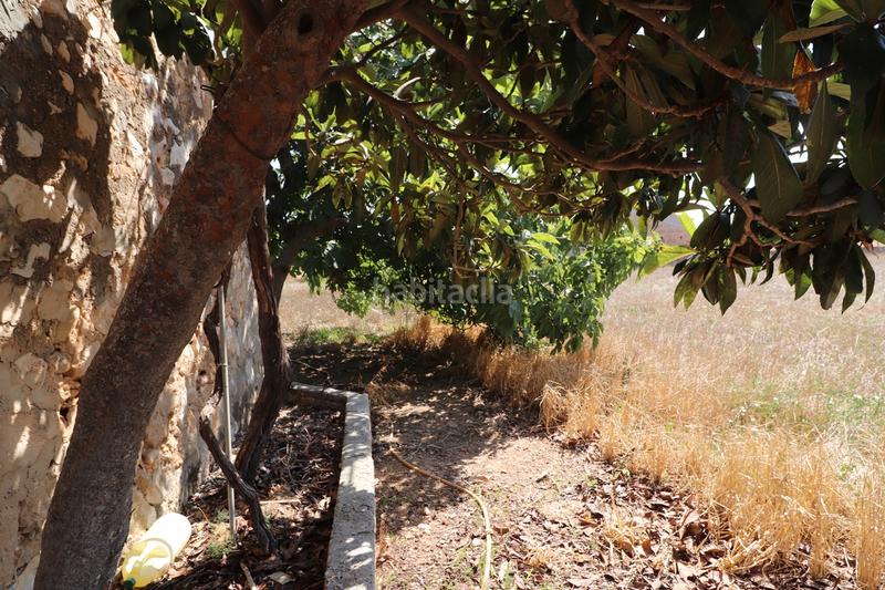 Foto a75377a8-795e-48b6-b0fb-d4ea4bbc875f. Finca rústica a carrer torrent 36 a Sa Pobla