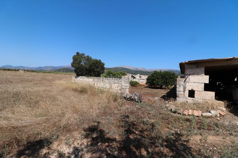 Foto bdca255d-4a0d-491a-97da-77162a143afe. Finca rústica a carrer torrent 36 a Sa Pobla