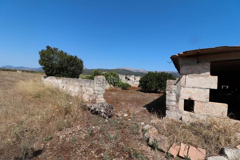 Foto d26c3fe5-c4c3-45a9-a2bb-9bef5f331a49. Finca rústica a carrer torrent 36 a Sa Pobla