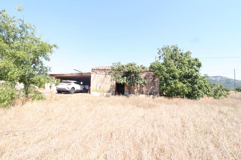 Foto fac74d0c-e336-4b25-a2bb-2dbaedaeff0c. Finca rústica a carrer torrent 36 a Sa Pobla