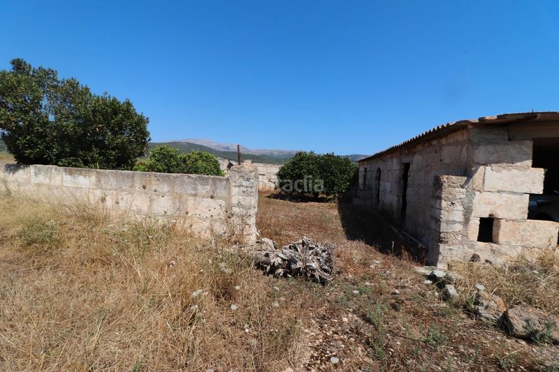 Foto fe5e625e-5fc0-4559-97ce-b908a41b751f. Finca rústica a carrer torrent 36 a Sa Pobla