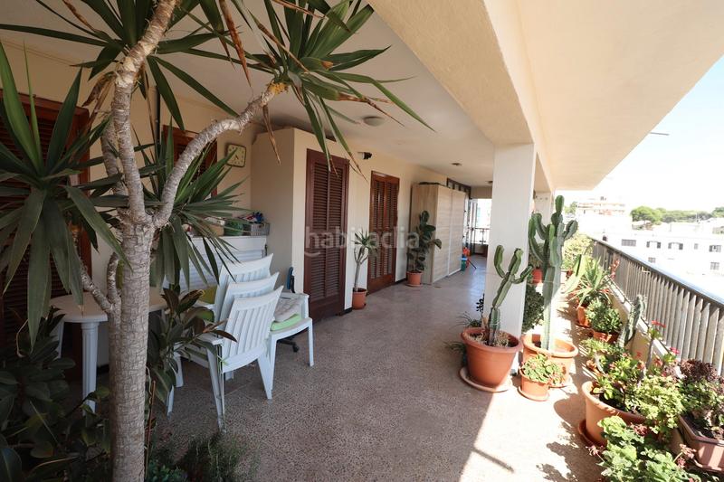 Foto f9fa1d37-d7b7-4dd3-8155-0bbb05c86768. Àtic a carrer de milà 54 a S´Arenal Palma de Mallorca