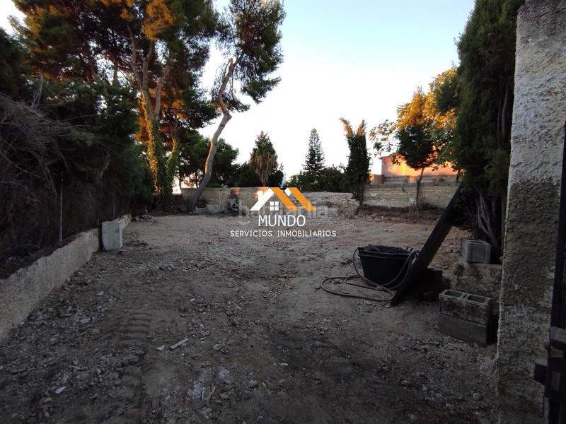 Foto 17480092-3393-4470-95fc-bb037ef877e1. Terreno residencial oportunidad única en el plantío en Paterna