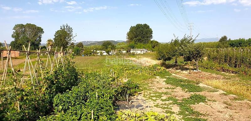 Foto 2bce645f-d802-4b0f-83a1-e982ee85dd52. Terreno residenziale in Mas Florit-Ca la Guidó Blanes