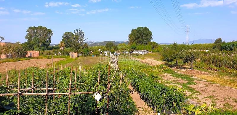 Foto 872b5513-9c39-40bc-a592-d3f250761d0a. Terreno residenziale in Mas Florit-Ca la Guidó Blanes