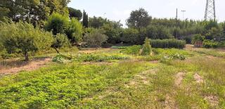 Terreny residencial a Mas Florit-Ca la Guidó. Terreno agricola cerca de blanes