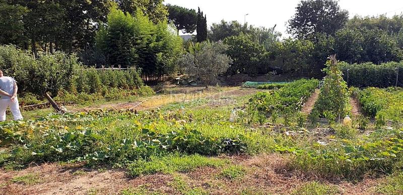 Foto c78eba6a-942e-4d23-900e-534c85eea7ab. Terreno residenziale in Mas Florit-Ca la Guidó Blanes