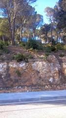 Terreny residencial a Mas Mora-Sant Daniel. Terreno en venta en san daniel