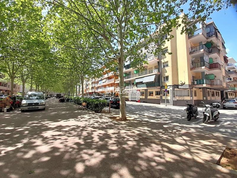 Foto 8b0ca32a-24c5-4117-a950-e59fd8819b93. Aparcament cotxe a La plantera Blanes