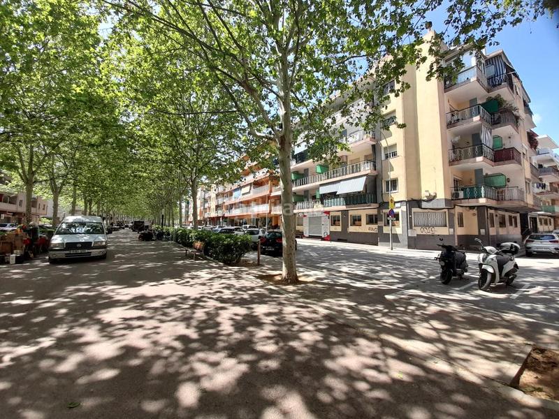 Foto f9954202-e7a2-4d9a-824b-21bbdac64450. Rent car parking in La plantera Blanes