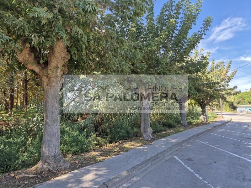 Foto d3f1f3d2-adac-47f1-8010-b4d94bbf0d48. Appartamento in Centre Blanes