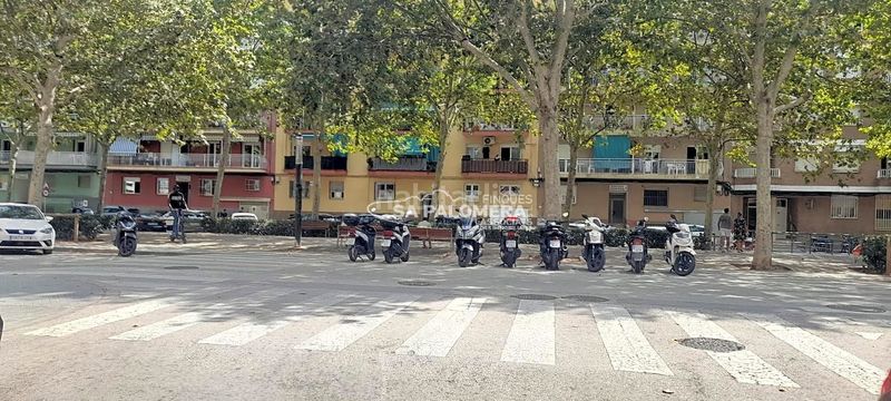 Foto a4d365bf-1771-41aa-b4ba-eecb4cb3dc5a. Aparcament cotxe a Els Pins Blanes