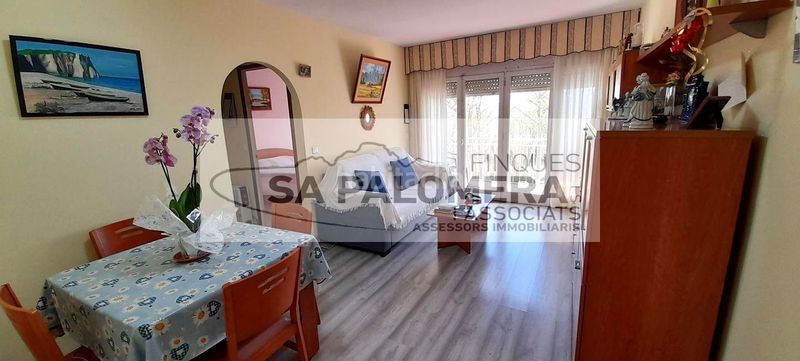 Foto 96e06a2e-0473-41e5-a5a2-35721587b42b. Pis a La plantera Blanes