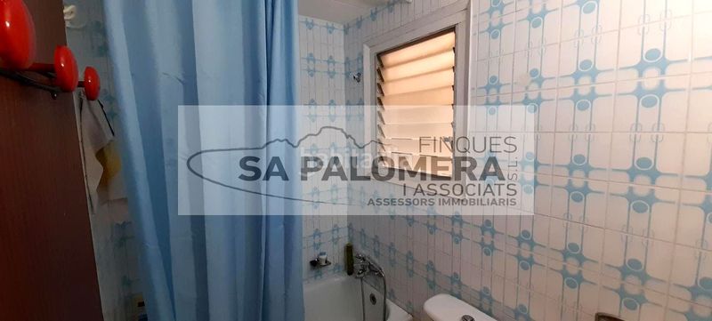 Foto c3e6a2f2-c940-4fb6-af87-b9b11c92eebe. Pis a La plantera Blanes