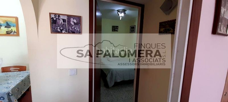 Foto e377f3ff-7024-4fd6-baac-a974ba37a922. Pis a La plantera Blanes