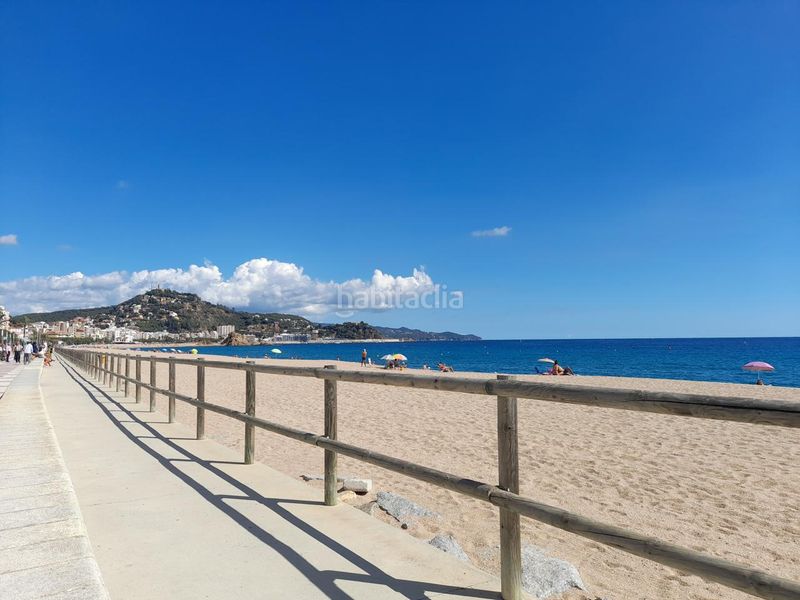 Foto 092e2f7c-5332-4fd7-bbca-8b67b1013500. Local comercial a Els Pins Blanes