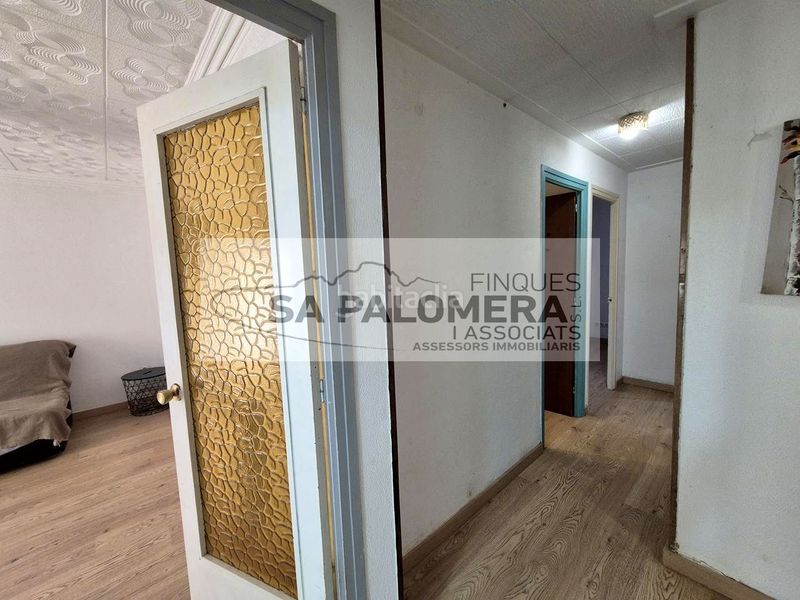 Foto 805fc6fc-ae6d-44d5-911e-d88735add310. Pis a Els Pavos Blanes