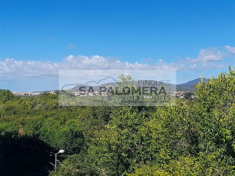 Foto 2373dd3f-d932-4ee2-a6d1-faaa7d2b1d75. Apartament a Els Pins Blanes