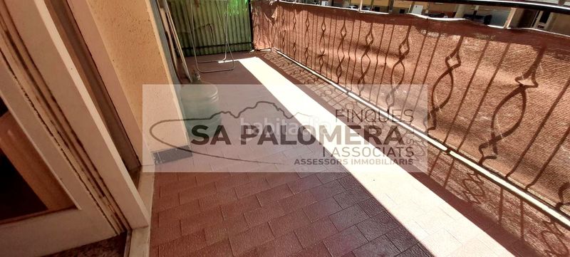 Foto 121df613-c92a-4de9-b7c3-c3fcc88332a1. Pis a La plantera Blanes