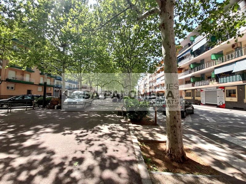 Foto 22a9c883-38b0-4fdc-9b85-977ba4eb5bad. Pis a La plantera Blanes