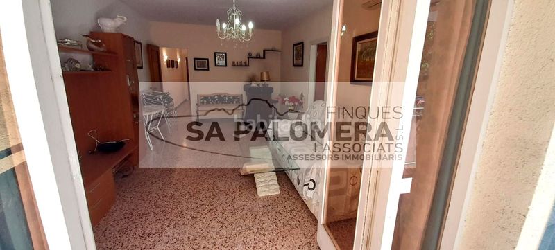 Foto 5eda2815-8963-4446-a800-3e4295feb62e. Pis a La plantera Blanes