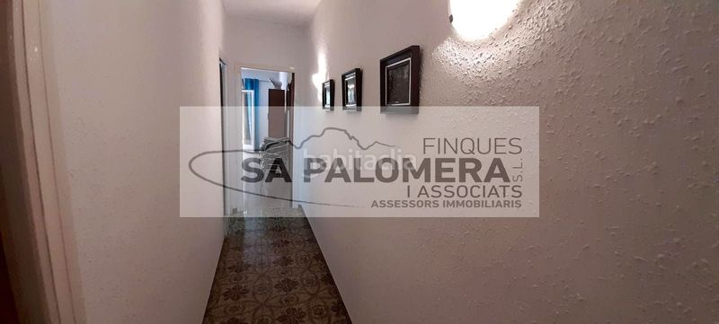 Foto 5f771bbe-4bc6-4f0e-be91-0ba20530d1d2. Pis a La plantera Blanes