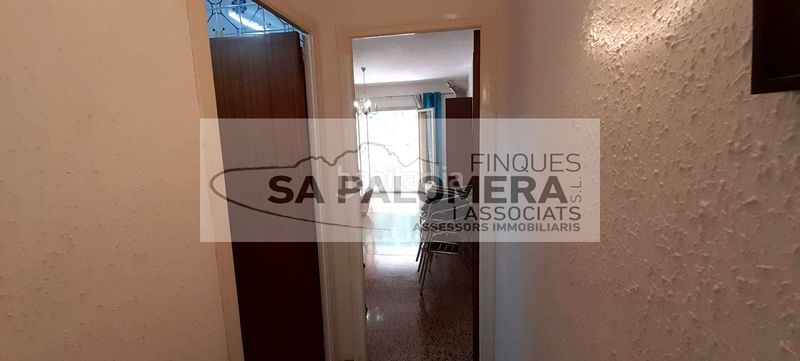 Foto 8264d98c-d7ed-47c8-8570-8c19d44d189a. Pis a La plantera Blanes
